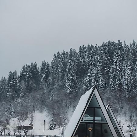Mountains Hut Villa Mykulychyn Ngoại thất bức ảnh